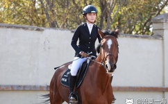 影音先锋男人资源813.